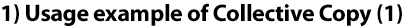 1) Collective Copy usage example