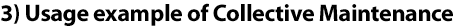 3) Collective Maintenance usage example