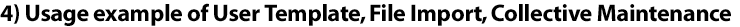 Usage example of User Template, File Import, Collective Maintenance